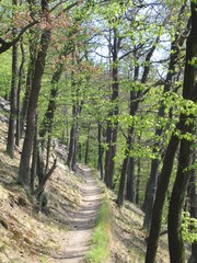stezka nad rekou
