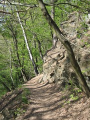 stezka nad rekou