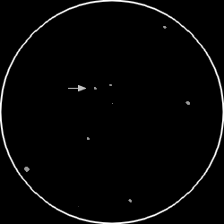 3c273