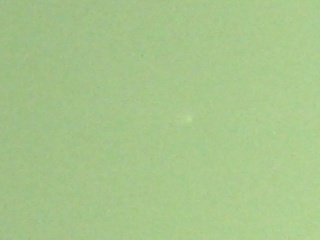 kometa McNaught za denního světla kometa za denního světla