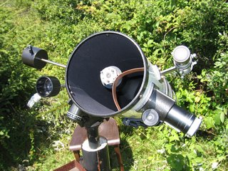 newton